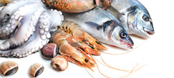 pesce fresco